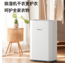 志高（CHIGO） 除湿机 家用抽湿机除湿器 卧室地下室干燥机 吸湿去湿除潮防潮回南天除湿神器