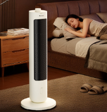 格力（GREE）【暖岁系列】直流变频双擎石墨烯取暖器家用摇头暖风机小太阳电暖器节能电暖气 NFTB-X6020